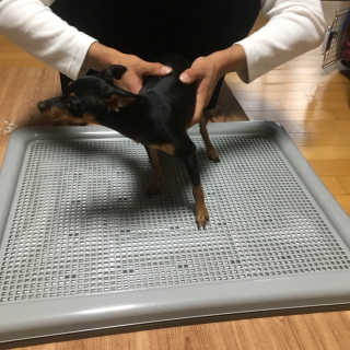 김호띠님이 올린 리뷰 사진 3