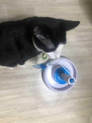 yooni님이 올린 리뷰 사진 1