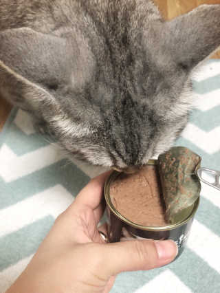 jinvely님이 올린 리뷰 사진 3