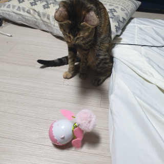 이째님이 올린 리뷰 사진 1