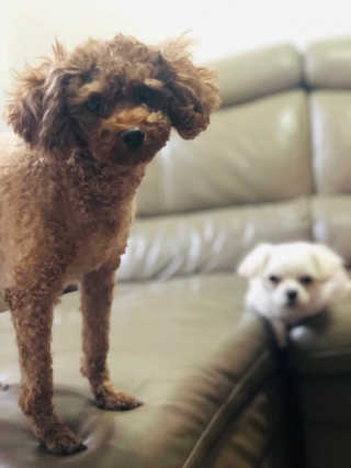 jinvely님이 올린 리뷰 사진 2