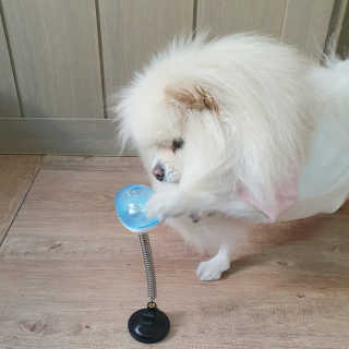 치리짱님이 올린 리뷰 사진 2