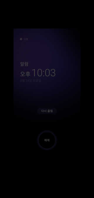 [셀티바] 프로바이오틱 다이어트 — 5점을 준 리뷰어가 2019년 8월 올린 사용 사진