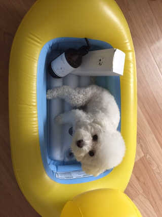 HyeokYoon님이 올린 리뷰 사진 1