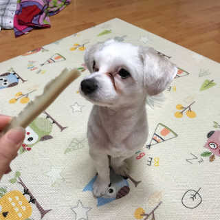 예콩님이 올린 리뷰 사진 3
