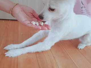 박수영님이 올린 리뷰 사진 2