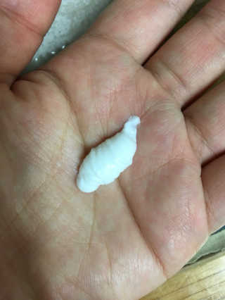 윤쓰님이 올린 리뷰 사진 2