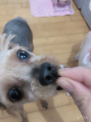 라니으니님이 올린 리뷰 사진 2