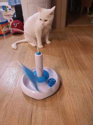 루씨네님이 올린 리뷰 사진 4
