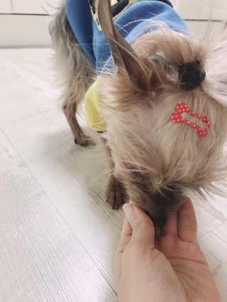 김콩콩님이 올린 리뷰 사진 4