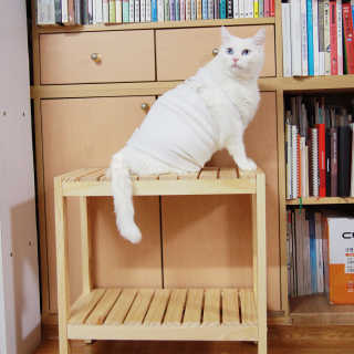 토모님이 올린 리뷰 사진 4
