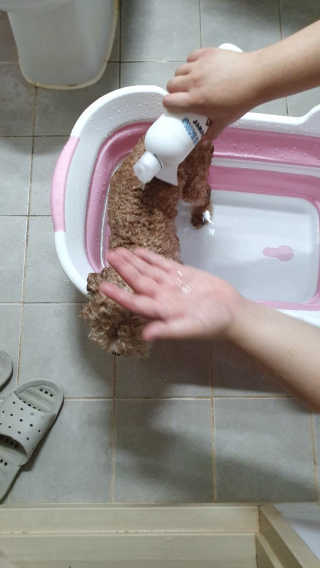 초코에몽님이 올린 리뷰 사진 3