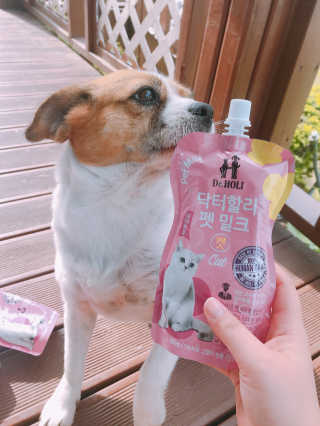 KimSeonMi님이 올린 리뷰 사진 1