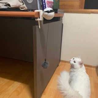 제시님이 올린 리뷰 사진 2
