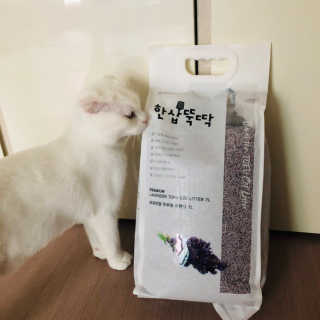 [펫토리아]한삽뚝딱 프리미엄 고양이 두부모래 — 5점을 준 리뷰어가 2019년 8월 올린 사용 사진