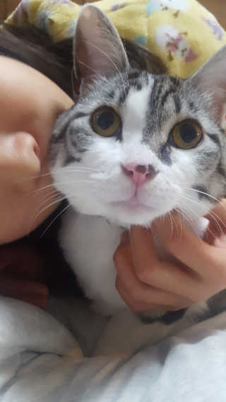 💟봉달💟님이 올린 리뷰 사진 3