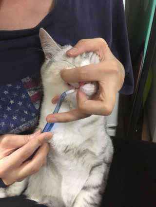 오래오니뚜님이 올린 리뷰 사진 2