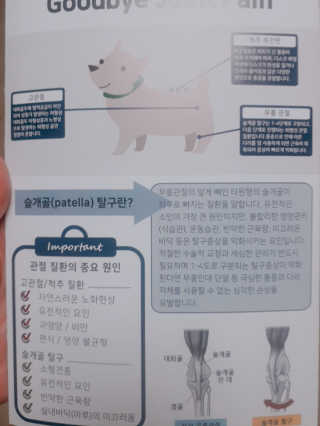 잠보아 뉴트리페어 굿바이 조인트페인 — 5점을 준 리뷰어가 2020년 1월 올린 사용 사진