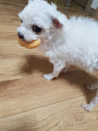보름맘님이 올린 리뷰 사진 4