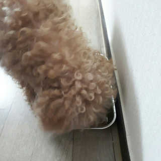 앙징징님이 올린 리뷰 사진 3
