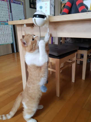 롤리팝님이 올린 리뷰 사진 3