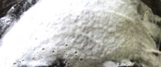 ChoiSohee님이 올린 리뷰 사진 4