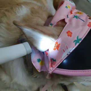 엘리님이 올린 리뷰 사진 2