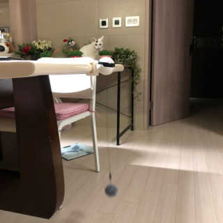 ccowjd님이 올린 리뷰 사진 3