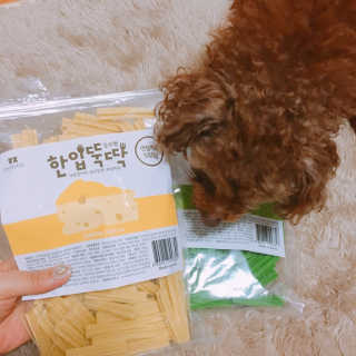 [펫토리아] BEST 한입뚝딱 실속형 강아지 덴탈껌 — 4.5점을 준 리뷰어가 2019년 2월 올린 사용 사진
