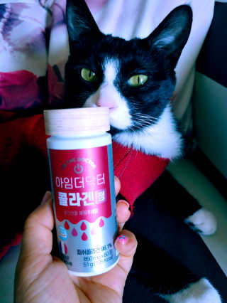 다금님이 올린 리뷰 사진 1