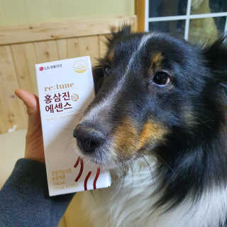 happyfactory님이 올린 리뷰 사진 2