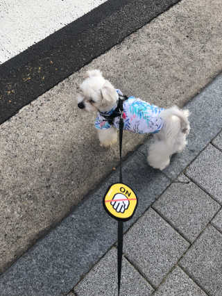 설기넹님이 올린 리뷰 사진 4