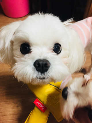 자기전님이 올린 리뷰 사진 4