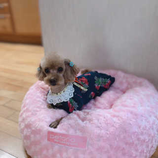 예니님이 올린 리뷰 사진 2