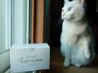 야키소바빵님이 올린 리뷰 사진 1