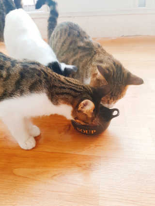 임예림님이 올린 리뷰 사진 4