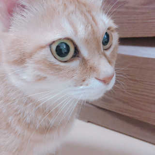 손정영님이 올린 리뷰 사진 1