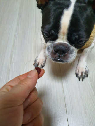삼꽃단하나님이 올린 리뷰 사진 4