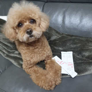 썰뇽님이 올린 리뷰 사진 1