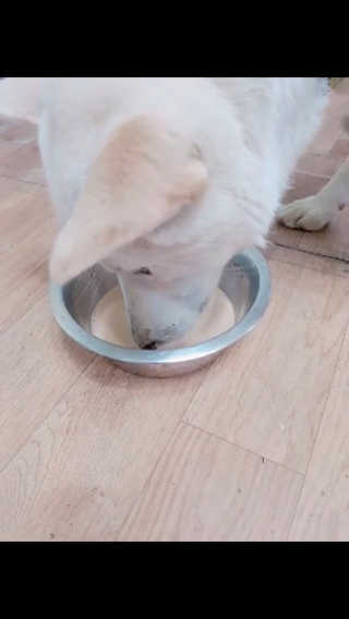 EunsunKim님이 올린 리뷰 사진 2
