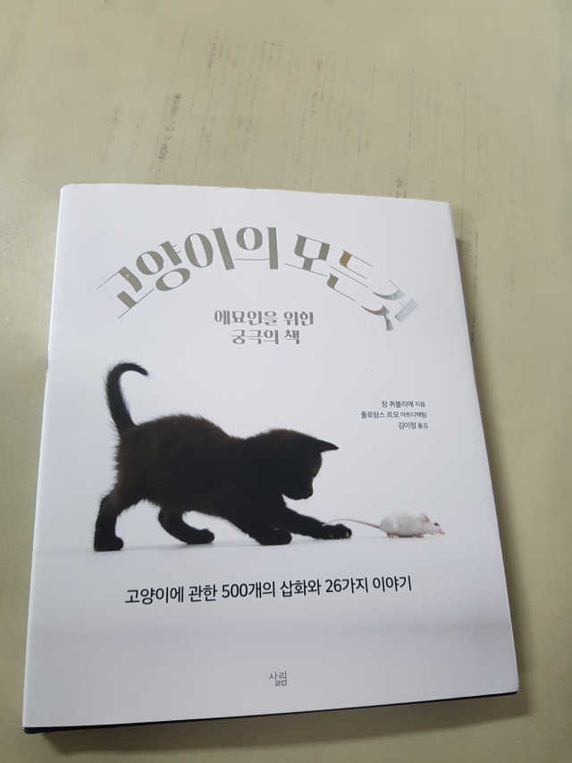 고양이의 모든 것 리뷰 사진