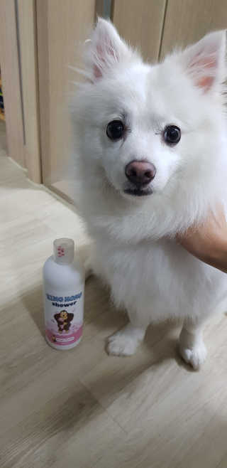 소라빵님이 올린 리뷰 사진 3