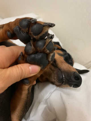 Ha’님이 올린 리뷰 사진 3