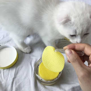 kittyiris님이 올린 리뷰 사진 2