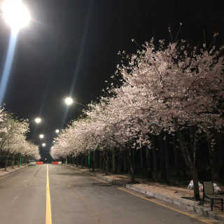 뤼미님이 올린 리뷰 사진 3