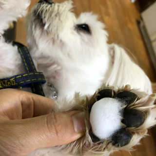 규빈띵쏘님이 올린 리뷰 사진 4