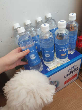 sooing님이 올린 리뷰 사진 3