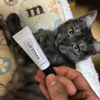 송해량님이 올린 리뷰 사진 1