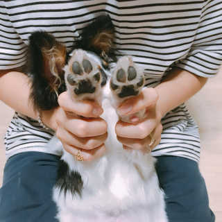 마법의성님이 올린 리뷰 사진 4