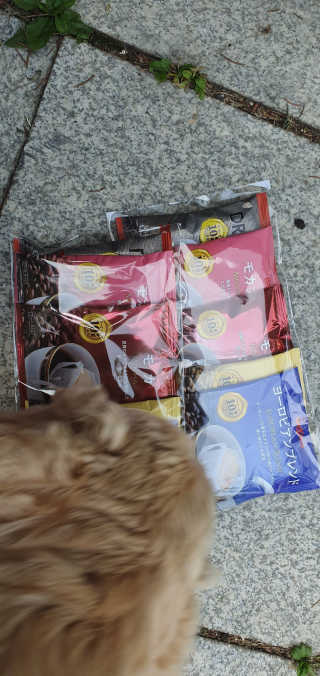 콩콩이님이 올린 리뷰 사진 1